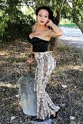 Foto Annunci Eros Adriana Paulett Trans Paese 3891399263 - 32