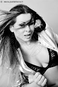 Foto Annunci Eros Allana Trans Riccione 3318788751 - 51
