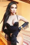 Foto Annunci Eros Angel Bunny Trans Roma 3474642611 - 29