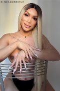 Foto Annunci Eros Angel Bunny Trans Roma 3474642611 - 1