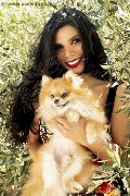 Foto Annunci Eros Ariadna Trans Roma 3887519396 - 62