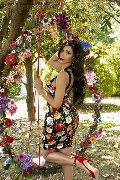 Foto Annunci Eros Ariadna Trans Roma 3887519396 - 76
