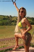 Foto Annunci Eros Bruna Xxl Trans Parma 3295914684 - 4