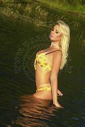 Foto Annunci Eros Chanelle Trans 3420016967 - 179