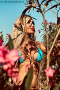 Foto Annunci Eros Chrystal Medeiros Pornostar Trans Pescara 3898313619 - 38