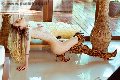 Foto Annunci Eros Duda Castro Trans Bergamo 3293898373 - 53