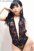 Foto Annunci Eros Gabriella Andrade Trans Trento 3280050444 - 6