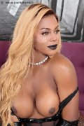 Foto Annunci Eros Ivy Muller Trans Bergamo 3279251190 - 35