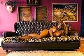 Foto Annunci Eros Jessica Aryani Trans Ponte Chiasso 3932507943 - 23