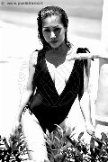 Foto Annunci Eros Liisa Asiatica Ladyboy Trans 3489026722 - 385