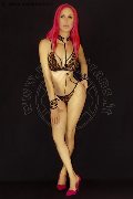 Foto Annunci Eros Nady Trans Vicenza 3338758341 - 143
