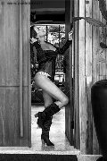 Foto Annunci Eros Paty Ferrary Trans Caxias Do Sul 005521974294018 - 11