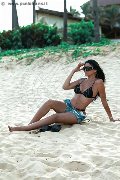 Foto Annunci Eros Paula Bituschini Trans Genova 3898857998 - 37
