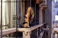 Foto Annunci Eros Rayca Trans Berna 3485638746 - 256