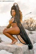 Foto Annunci Eros Sandra Ravach Trans Reggio Emilia 3341547195 - 12