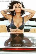 Foto Annunci Eros Serena Trans Torino 3271309016 - 17