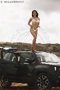 Foto Annunci Eros Vanessa Hilton Trans Brescia 3245846577 - 110