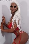 Foto Annunci Eros Virna La Super Dotata Trans Milano 3494393969 - 14