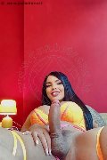 Foto Hot Annunci Eros Luana Castrinni Trans Milano 3931001131 - 11