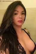 Prato Trans Ana Paola Tx 351 17 11 668 foto selfie 52