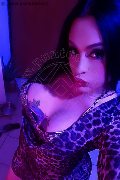 Frosinone Trans Camilla Sexy Bambola 329 70 99 256 foto selfie 4