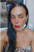 Bergamo Trans Kartika 349 22 31 753 foto selfie 245