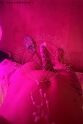 Bologna Trans Lara Melo 389 43 41 787 foto selfie 20