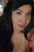 Prato Trans Taina Oliveira 328 53 82 487 foto selfie 100