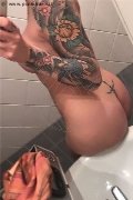 Treviso Trans Valeria 338 87 18 849 foto selfie 684