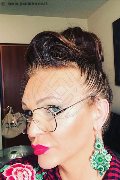 Treviso Trans Valeria 338 87 18 849 foto selfie 613