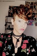 Treviso Trans Valeria 338 87 18 849 foto selfie 603