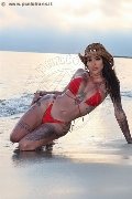 Foto Annunci Eros Bruninha Trans Avellino 3508578851 - 31