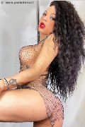 Foto Annunci Eros Dior Trans Treviso 3472825420 - 256