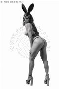 Foto Annunci Eros Gabriela Nicola Trans Desenzano Del Garda 3348617191 - 26