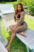Foto Annunci Eros Hillary Brasiliana Trans Bologna 3384136322 - 44