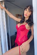 Foto Annunci Eros Maria Cris Trans Milano 3937176655 - 5