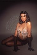 Foto Annunci Eros Nicole Andrade Trans Oristano 3298948041 - 89