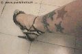 Foto Annunci Eros Suzana Pantera Trans Alessandria 3929724965 - 55