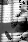 Foto Hot Annunci Eros Dior Trans Treviso 3472825420 - 138