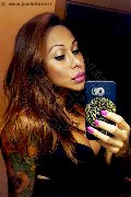 Marina Di Montemarciano Trans Alessandra Toledo Pornostar 339 67 43 933 foto selfie 229