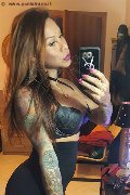 Marina Di Montemarciano Trans Alessandra Toledo Pornostar 339 67 43 933 foto selfie 208