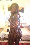 Marina Di Montemarciano Trans Alessandra Toledo Pornostar 339 67 43 933 foto selfie 248