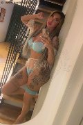 Viareggio Trans Dafne Pornostar 380 14 22 205 foto selfie 31