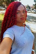 Treviso Trans Dior 347 28 25 420 foto selfie 26